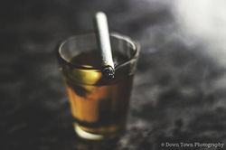 12208722_1675212709383415_6669645847268908354_n