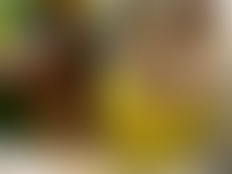 台湾の精進料理の世界