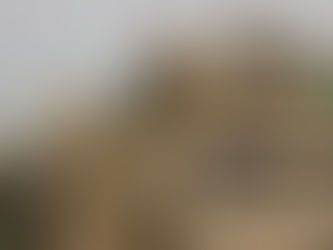 قوات الجيش تحرز تقدما جديدا في جبهة الفاخر بالضالع اخباوتقاريرالضالع