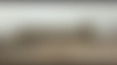 شبوة منظمات المجتمع المدني تطالب الرئيس هادي باغلاق معسكر العلم الذي تحول الى مأوى للعناصر التخريبية