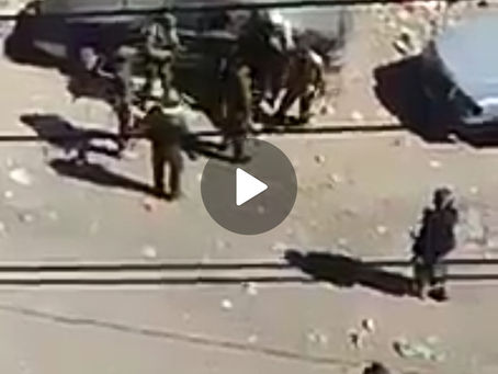 شاهد بالفيديو تصرفات مليشيات الحوثي