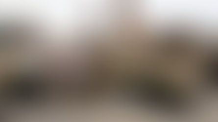 السعودية تجبر الإنتقالي على اعادة حاويات الاموال المنهوبة من ميناء عدن والانتقالي يعترف بالواقعة