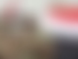إستياء إماراتي عارم يدفع «بن زايد» لإستدعاء«طارق صالح»