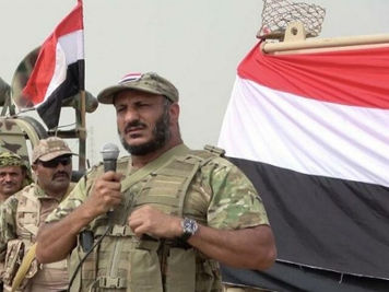إستياء إماراتي عارم يدفع «بن زايد» لإستدعاء«طارق صالح»