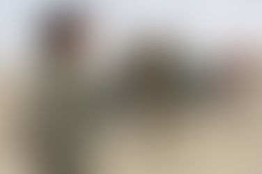 إدارة ميناء عدن تقرر إيقاف العمل داخل مرافق الميناء حتى إعادة الأموال المنهوبة كامله