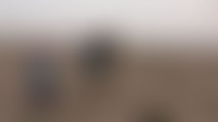 📻إعلام  التوحيد📻 القوات المشتركة: زارعو ألغام حوثيون سيحاكمون بالإرهابآخر