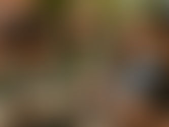 A Generous Life: Stewarding What God Has Given You