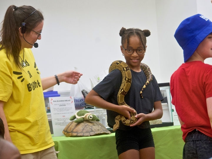 Discovers - NECS Summer Program.jpg