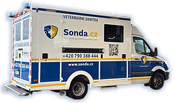 Sanitka transparent.png