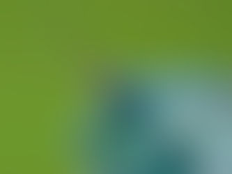 Povinné a dobrovolné očkování psů: Průvodce pro zodpovědné majitele