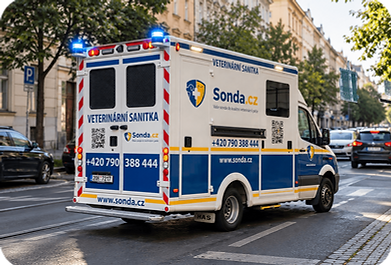 sanitka-lp_optimized.png