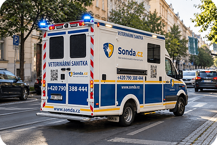 sanitka-lp_optimized.png