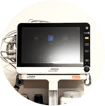 Monitor (1).png