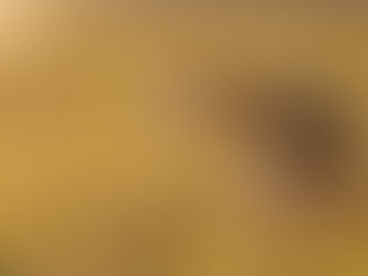 Průjem u psa: Komplexní průvodce pro majitele