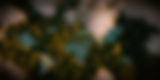 shutterstock_1537208690_edited_edited_edited.jpg