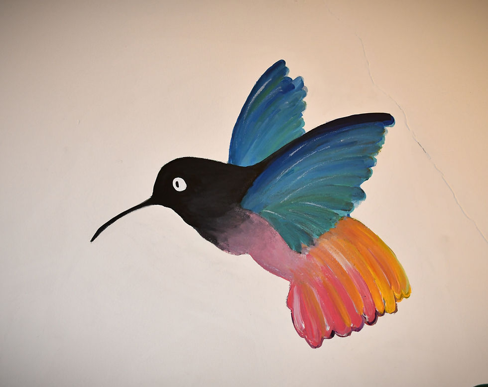 Bird