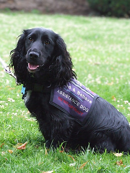 Assistance dog team