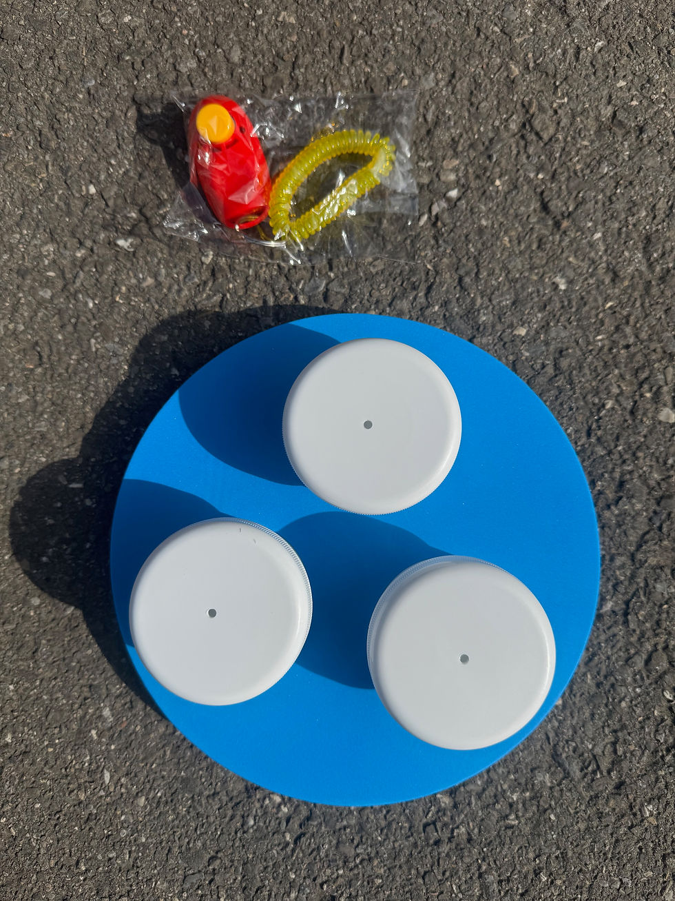 Nasenarbeit, Beschäftigung, Schnüffeltraining