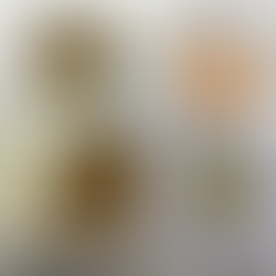 2月28日(土)の給食