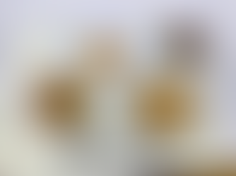 11月5日(水)の給食