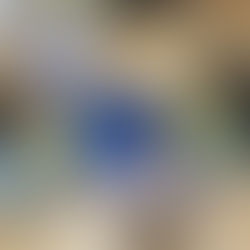 毎日リトミック