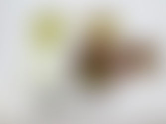 2月17日(月)の給食