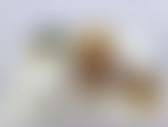 3月19日(木)の給食