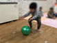 ボール遊び
