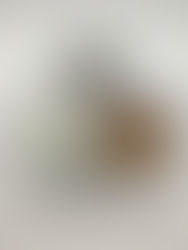 4月19日(金)の給食