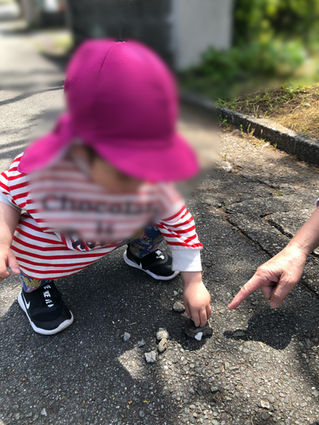 お散歩