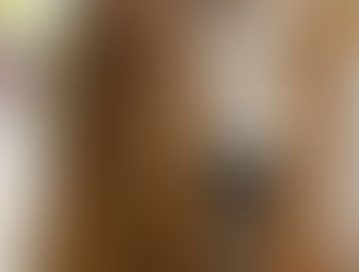 サーキット遊び