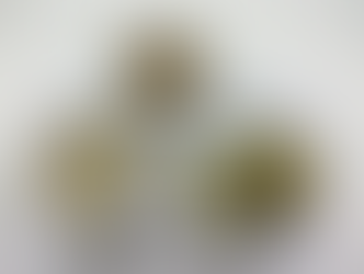 4月11日（土）の給食