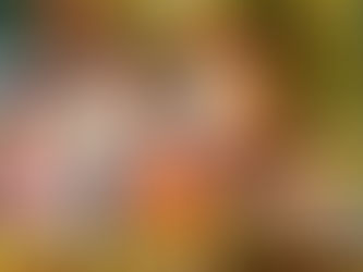 Our First Meeting with Krishna 