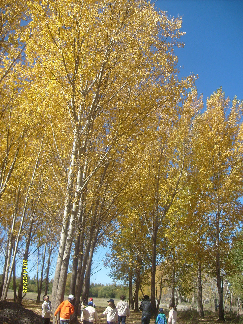S6303998.JPG