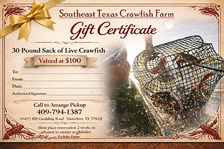 One 30lb of live crawfish