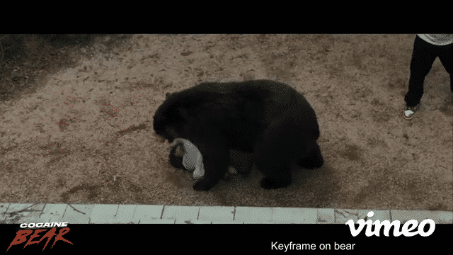 CocaineBear_GIF.gif