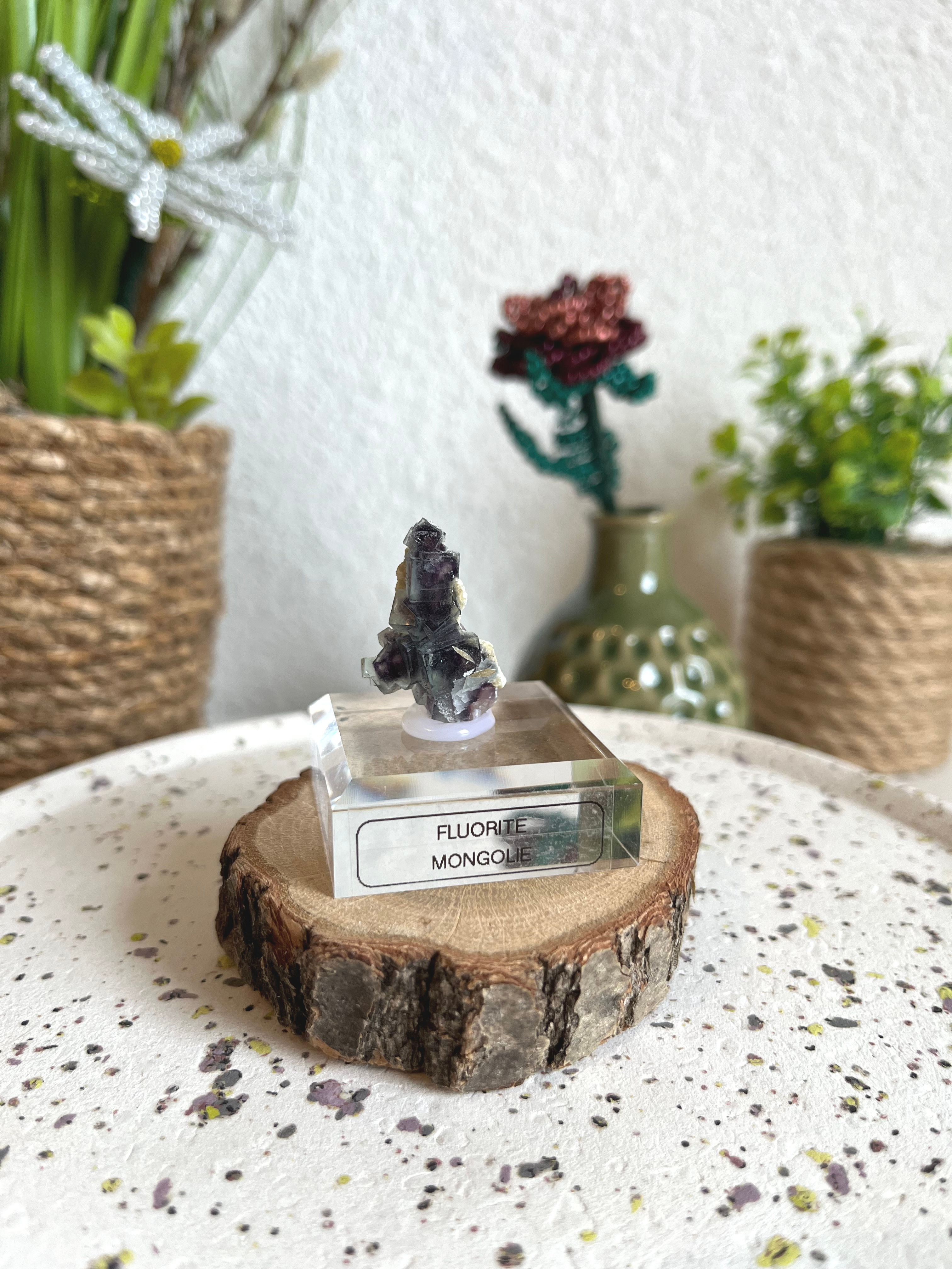 Fluorite verte cubes fantôme violet