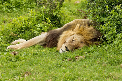 dreamstime_s_59697636.jpg