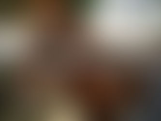 Oh Summer, how we love you!!