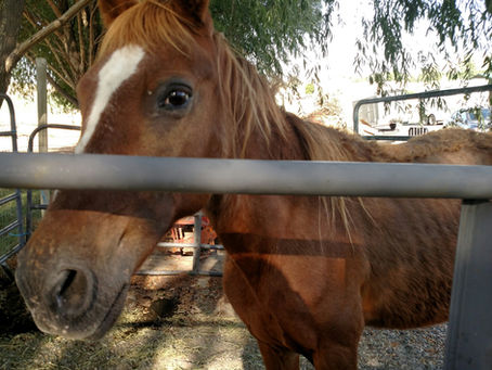 Oh Summer, how we love you!!