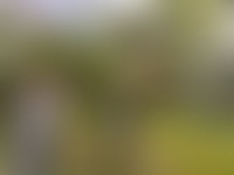 あっという間に「あと3週間」