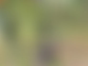 福井県の野村さんから届いた贈り物と、私の妹から届いた贈り物