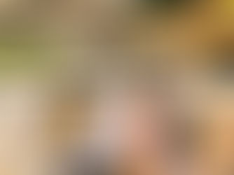 手稲プールとハンナの誕生日