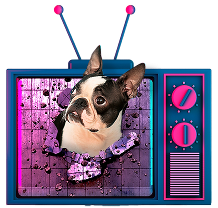 catioro tv.png