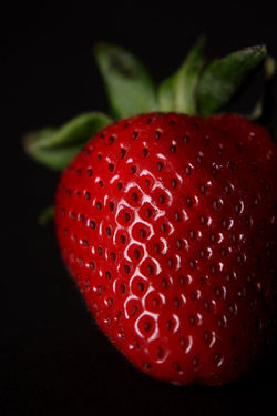 Fruit