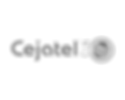 7.png