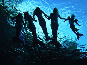 mermaids swimming in spring water at ginnie springs