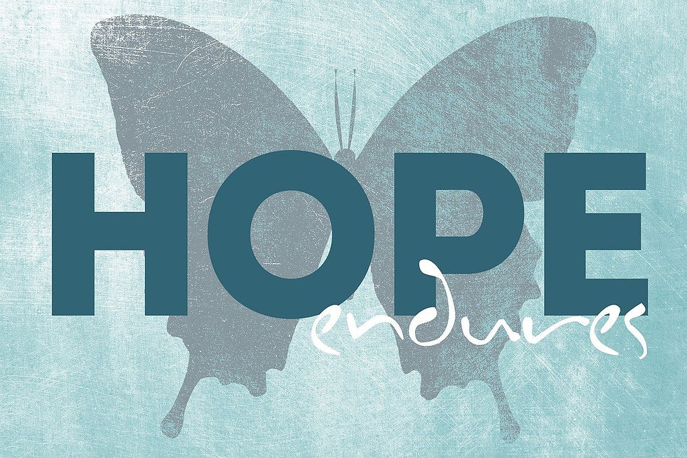 Image of Butterfly with the words Hope Endures