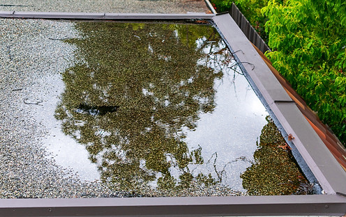 Flachdach-Wasserschaden-1000x700.jpg