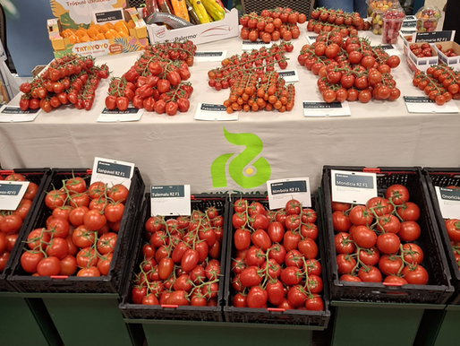 🍅 Magyar Paradicsom Napja és Hajtatási Expo 2026